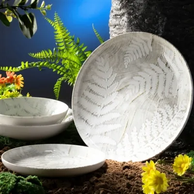 WWS Group lanza la vajilla de porcelana de inyección de tinta digital 
